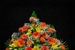 oranzovy-mix-zluta-lilie